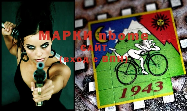 прущие грибы Болотное