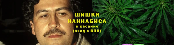 крисы Нея
