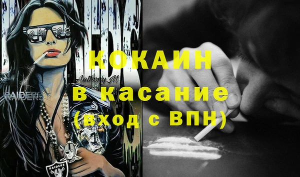 крисы Нея