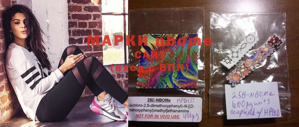 прущие грибы Болотное