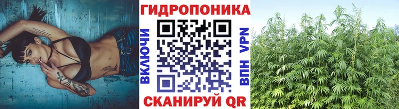 Конопля гибрид  OMG ССЫЛКА  Отрадный 